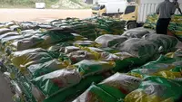 Harga Minyakita Sesuai HET pada Februari 2026