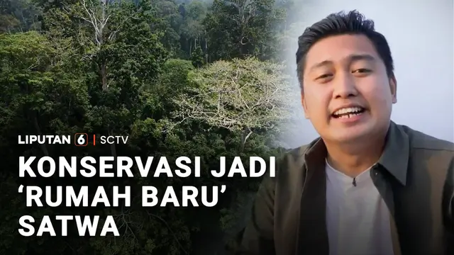 Konservasi Jadi 'Rumah Baru' Satwa