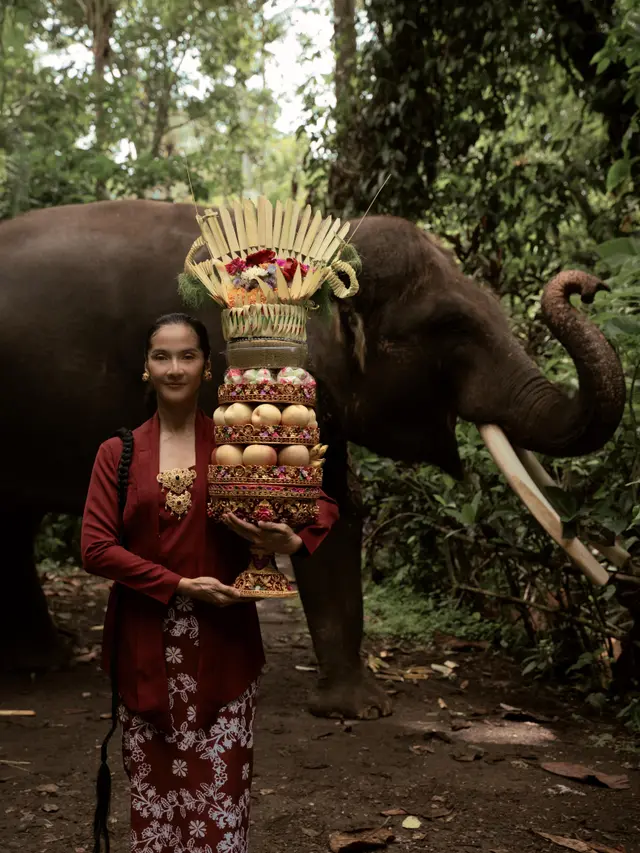 Ilustrasi potret Maudy Koesnaedi/menggah agung Gianyar, Bali