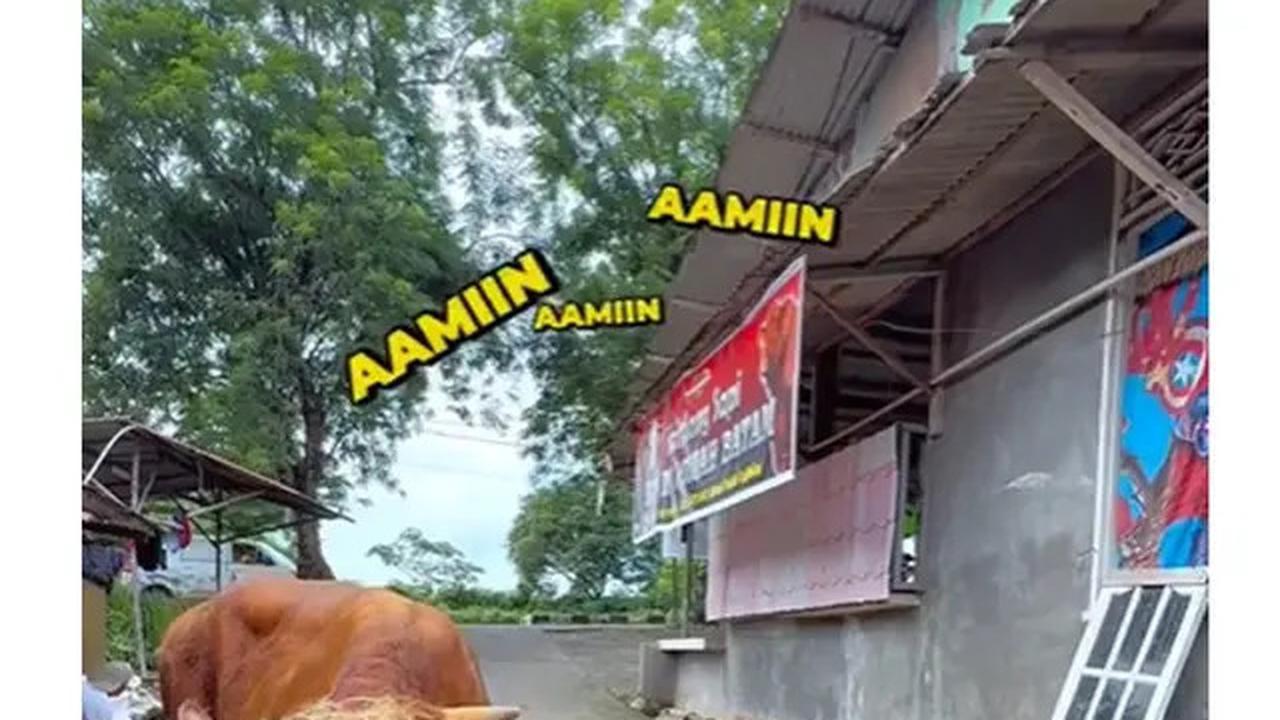 7 Artis Kurban Sapi di Idul Adha 2025, Raffi Ahmad hingga Ruben Onsu