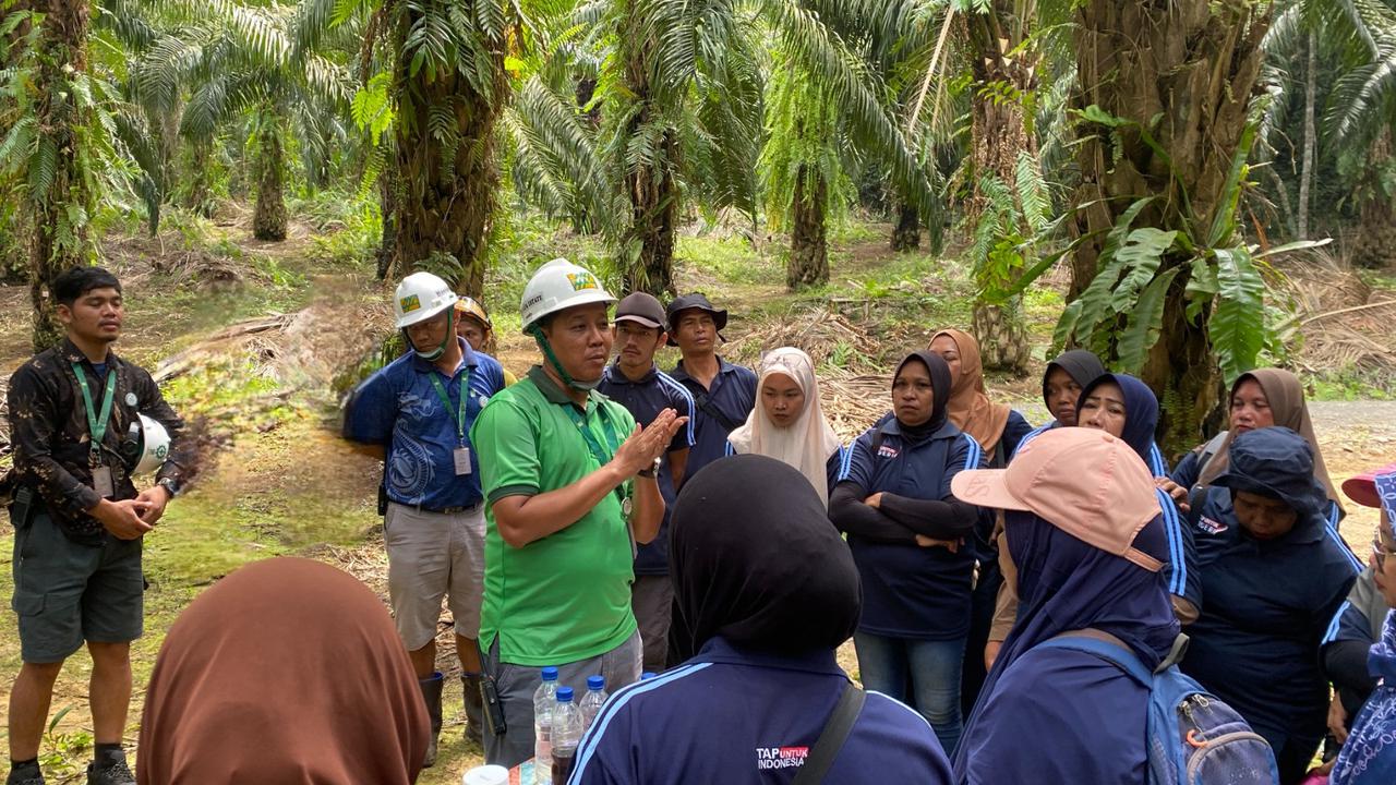Tingkatkan Produktivitas Sawit demi B50, Petani Bisa Manfaatkan Perkasa