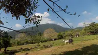 6 Fakta Menarik Gunung Cot Kulam di Aceh yang Dikenal Sebagai Pulau Weh