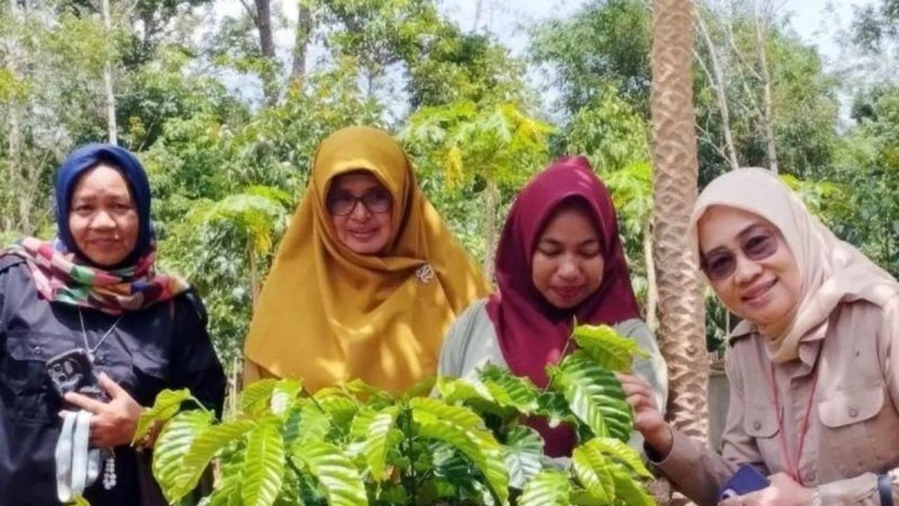 Kalsel Perkuat Pengembangan Kopi Berbasis Diversifikasi Terintegrasi untuk Tingkatkan Ekonomi Daerah