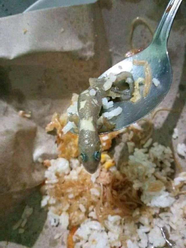 7 Potret Hewan Aneh Terselip di Makanan, Bikin Jijik