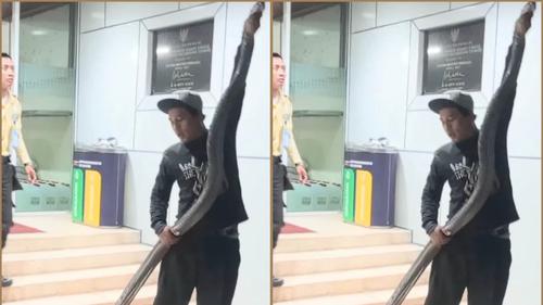 King Kobra Masuk ke Dalam Kantor BRIN di Tangsel