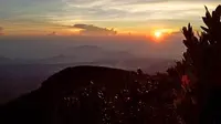 Matahari terbit di Gunung Gede (Liputan6.com / Muhamad Nuramdani)