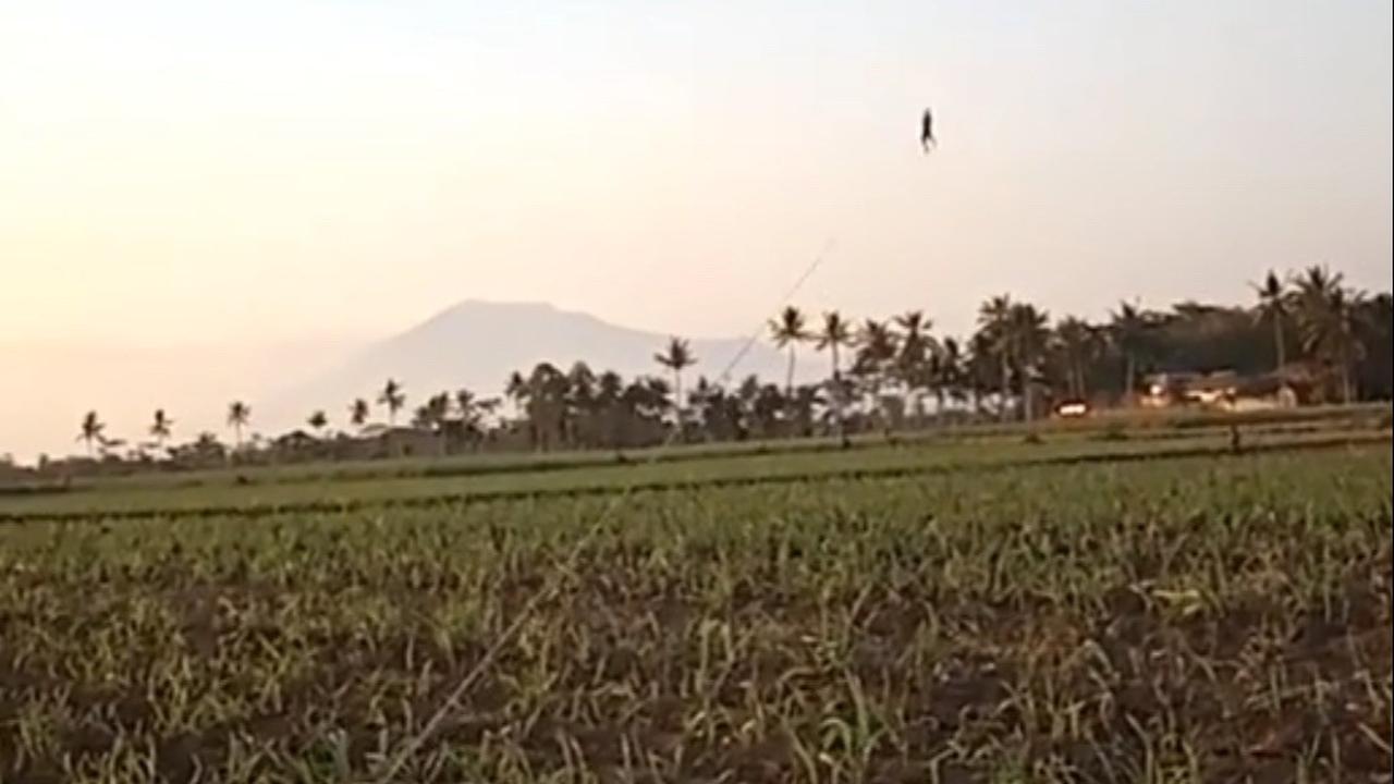 Buat Panik, Bocah Ini Terbang Terbawa Angin saat Main Layangan