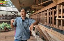 Dulu Bisnis Lada Hancur, Pria Ini Kini Beternak Kambing Sukses Bisa Beli Tanah dan Lunasi Utang