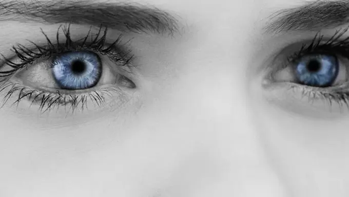 Foto: copyright thinkstockphotos.com