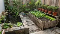 6 Desain Pekarangan Rumah Sempit dengan Kolam Ikan dan Kebun Sayur Mini, Hemat Tempat dan Produktif