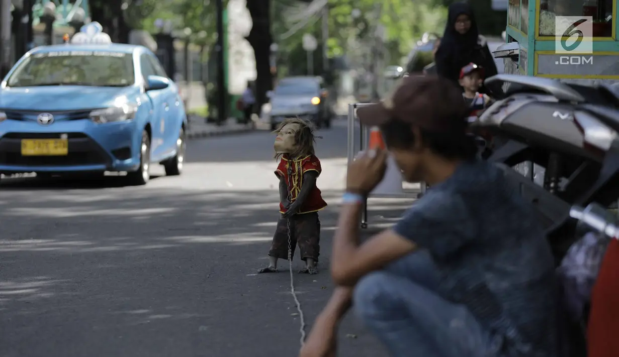 Seekor monyet menampilkan kebolehan pada atraksi topeng monyet di kawasan Abdul Rachman Saleh, Jakarta, Sabtu (31/3). Meski pertunjukan ini dikritik pecinta hewan, namun atraksi topeng monyet masih dijumpai di pinggir jalan. (Liputan6.com/Faizal Fanani)