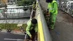 Dinas Kehutanan Provinsi DKI Jakarta menata tanaman yang dipasang di Jembatan Penyeberangan Orang (JPO) Benhil, Jakarta, Sabtu (24/8/2019). Penataan tersebut sebagai bentuk penghijauan dan mempercantik tata Kota Jakarta. (Liputan6.com/JohanTallo)
