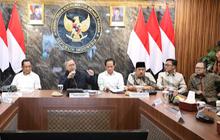 Rakortas Tingkat Menteri, Mendagri Uraikan Peran Pemda Dukung Pelaksanaan Program PSEL