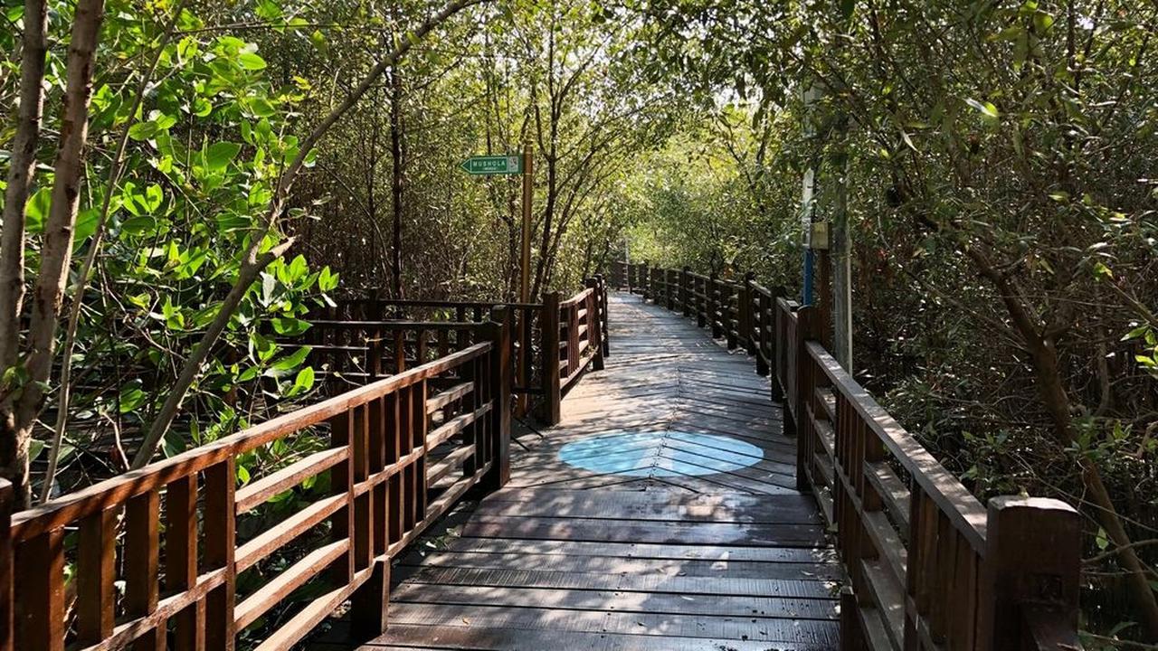Kebun Raya Mangrove, Gunung Anyar