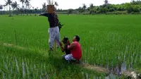 Petani menghormat manusia jerami. (foto : Liputan6.com/Edhie Prayitno Ige)