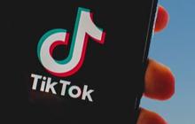 Ombudsman Soal TikTok Shop: Harus Dipastikan Tak Ada Upaya Mengelabui Hukum