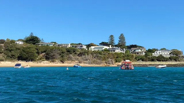 Sorrento Dolphin & Seal Boat Tour