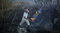 Anggota militer Brasil sedang mengecek bekas kebakaran hutan Amazon (AFP/Carl de Souza)
