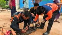 Warga Coba Keberuntungan Mancing Ikan dari Dapur Restoran Apung, Malah Dapat Buaya