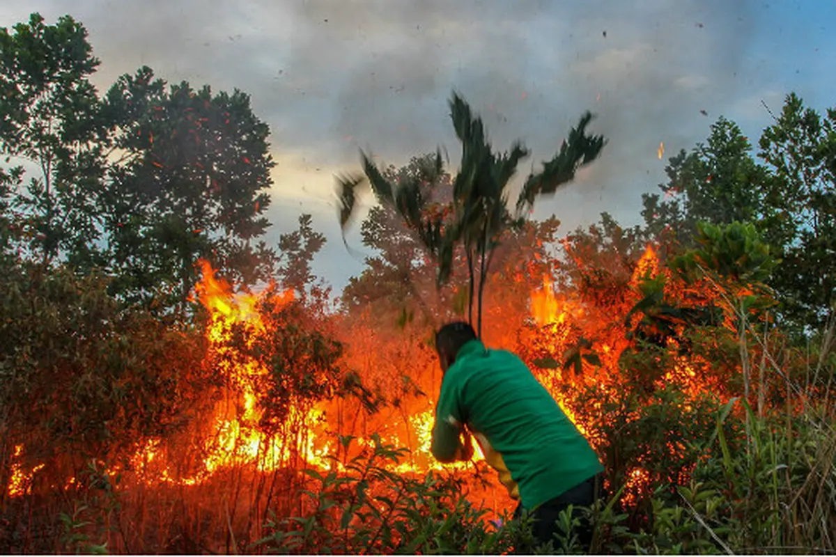 Gawat, Riau Dinyatakan BMKG Rawan Kebakaran Lahan Lagi