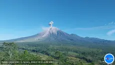 Gunung Semeru Erupsi 1.300 Meter Jumat Pagi