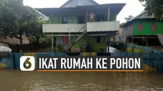 Banjir di Desa Bondra, Kabupaten Polewali Mandar, Sulawesi Barat meninggi. Warga mengikat rumah mereka dengan pohon agar tak terseret banjir.