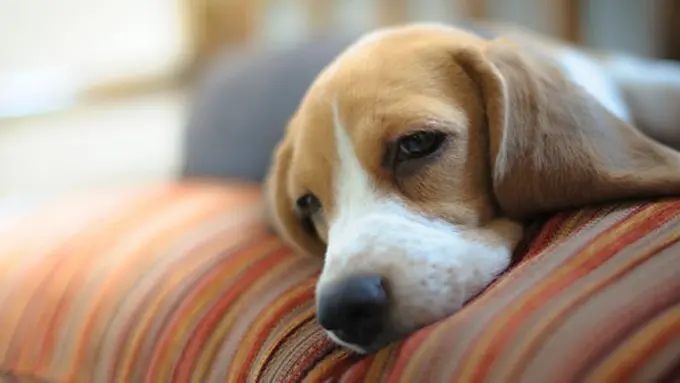 Foto: copyright Thinkstockphotos.com