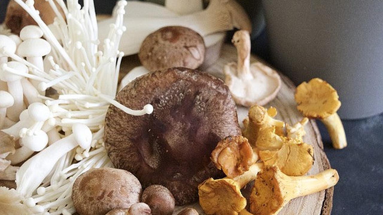 Jamur Miliki Segudang Nutrisi, Ini 3 Manfaatnya bagi Kesehatan Tubuh