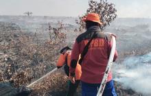 Wamenhut Sulaiman Umar Pantau Langsung Penanganan Karhutla di Riau