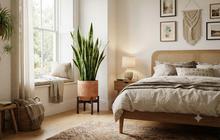 12 Tanaman Indoor yang Tetap Tumbuh Subur di Kamar Tanpa Sinar Matahari Langsung
