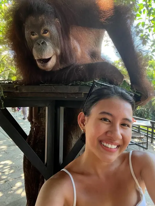 Shenina Cinamon sempat berfoto dengan salah satu orang utan di sana. Shenina pun terlihat tak takut sama sekali dengan hewan tersebut yang berada tepat di dekatnya