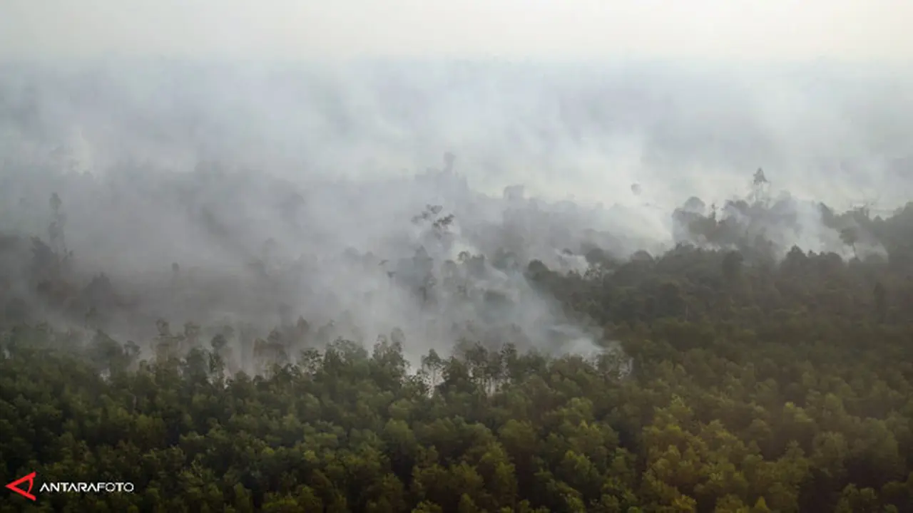 kebakaran-riau130711c.jpg