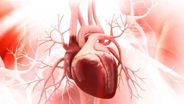 Tembakau dan Kaitannya dengan Penyakit Jantung (liya Graphics/Shutterstock)