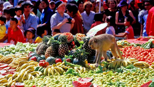 Festival Monkey Buffet
