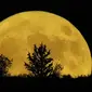 Supermoon terbit di balik bukit di Pera Chorio Nisou, pinggiran Nicosia, Siprus, Selasa, 1 Agustus 2023. (AP Photo/Petros Karadjias)