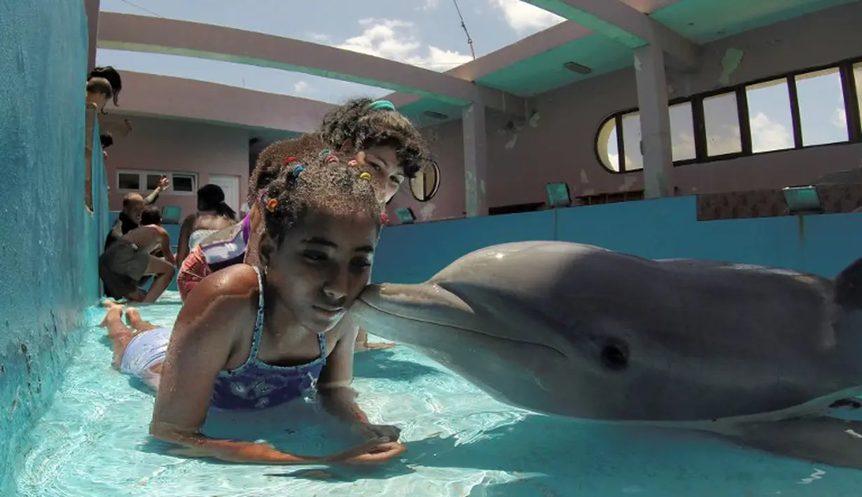 Seorang anak menerima ciuman dari lumba-lumba bernama Xinana selama sesi terapi di National Aquarium, Kuba, Senin (26/5/14). (AFP PHOTO/Adalberto ROQUE)