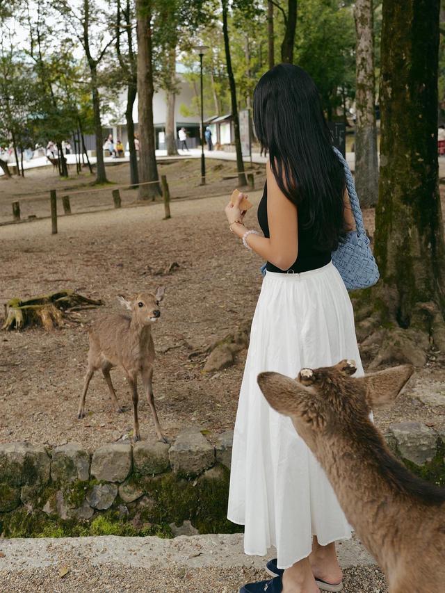 7 Potret Seru Anya Geraldine Main Bareng Rusa di Kota Nara