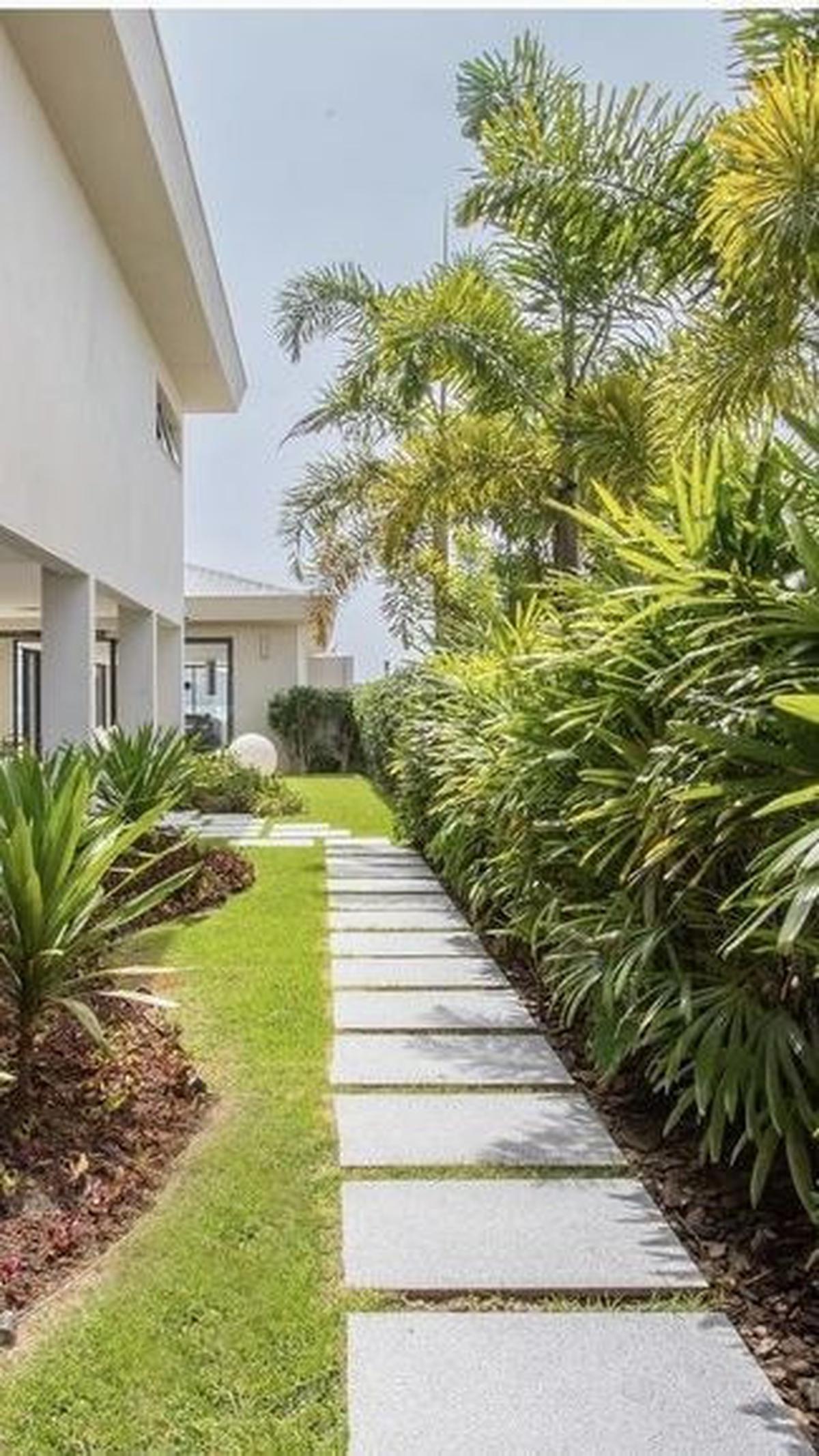 Taman Rindang Samping Rumah