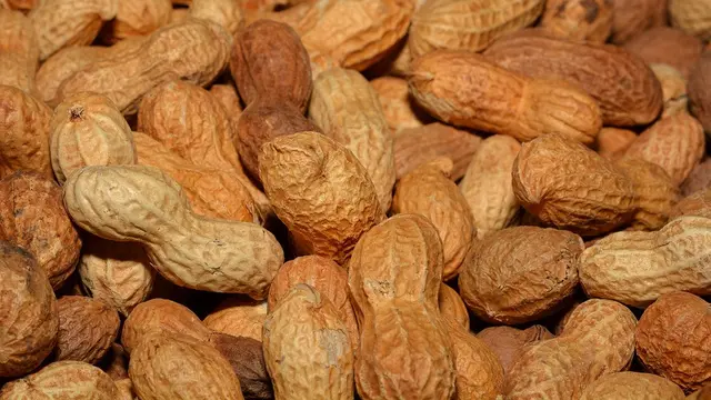 Manfaat Kacang Tanah