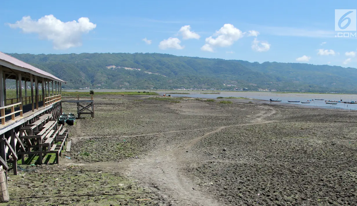 Pemandangan saat kekeringan melanda Danau Limboto, Gorontalo, Sabtu (22/9). Danau terbesar di Gorontalo ini merupakan sumber penghidupan bagi masyarakat sekitar. (Liputan6.com/Arfandi Ibrahim)