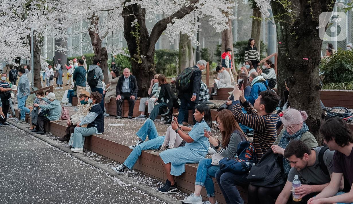 Para pengunjung menikmati sakura mekar di Taman Ueno, Tokyo, Sabtu (25/3/2023). Memasuki musim semi di Jepang, warga hingga turis mancanegara berbondong-bondong menikmati keindahan dari bunga sakura yang mekar. (Liputan6.com/Faizal Fanani)