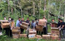 Ratusan Burung Hasil Sitaan di Bakauheni Dilepasliarkan, Perkuat Pelepasan Burung Bakauheni