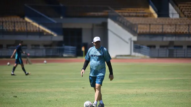 Pelatih Persib Bandung, Robert Rene Alberts
