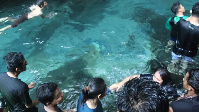  2 Tewas dalam Banjir Bandang Pelaruga, 1 Orang Hilang