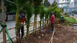 Pekerja menanam pohon di jalur pedestrian Jalan Sudirman, Jakarta, Jumat (6/7). Penanaman pohon dilakukan untuk mempercantik Jakarta jelang Asian Games 2018. (Liputan6.com/Arya Manggala)
