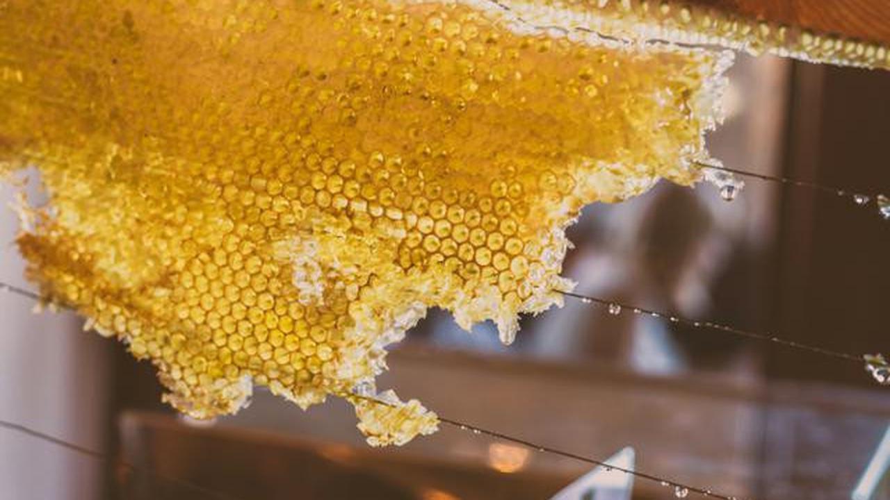 9 Hewan Ternak yang Paling Bikin Untung, Cocok untuk Bisnis dan Hobi