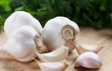6 Manfaat Bawang Putih saat Musim Pancaroba, Termasuk Meredakan Flu