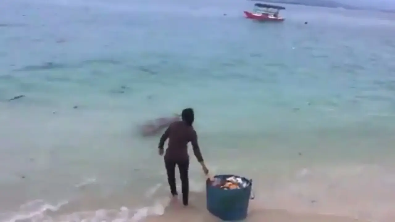 Menteri Susi Cuitkan Video Perempuan Buang Sampah ke Laut Donggala