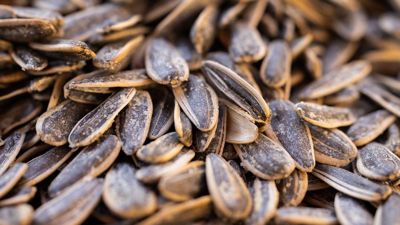 Manfaat Vitamin E bagi Wanita