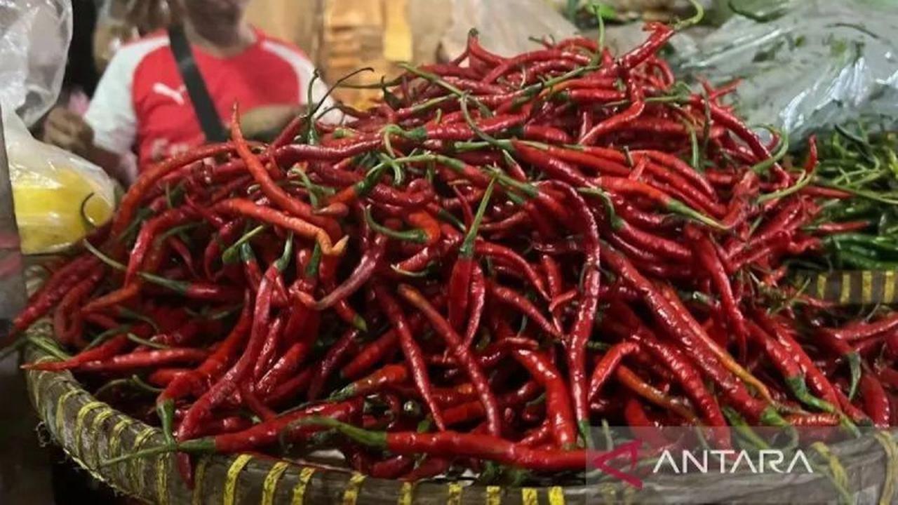 Data PIHPS Terbaru: Harga Pangan Nasional Meroket, Cabai Rawit Tembus Rp55 Ribu, Telur Ayam Rp31 Ribu